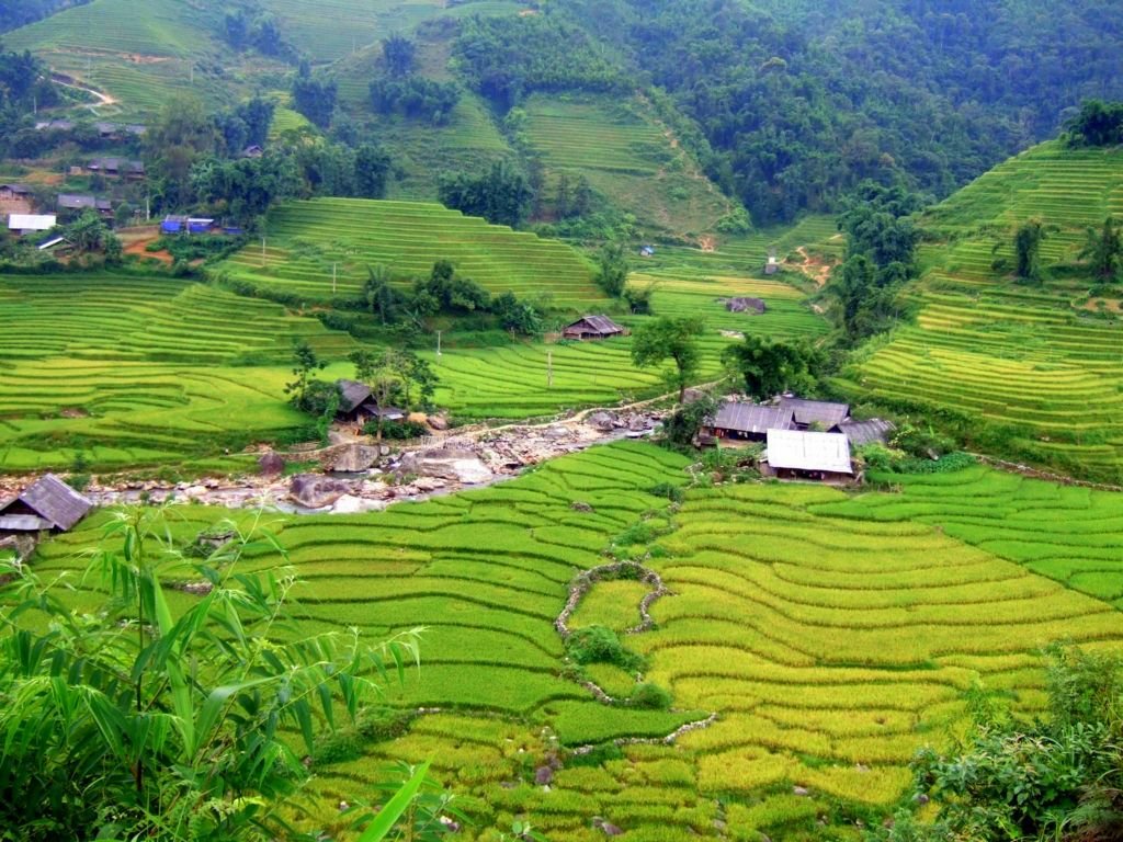 Private Sapa Bike Tour: The Ultimate Guide to Bespoke Adventure in Northern Vietnam